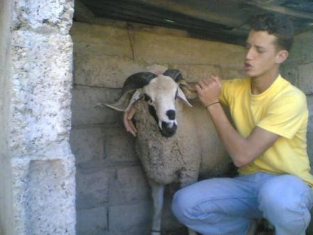 amine 36